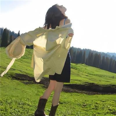 赞鸟历险记